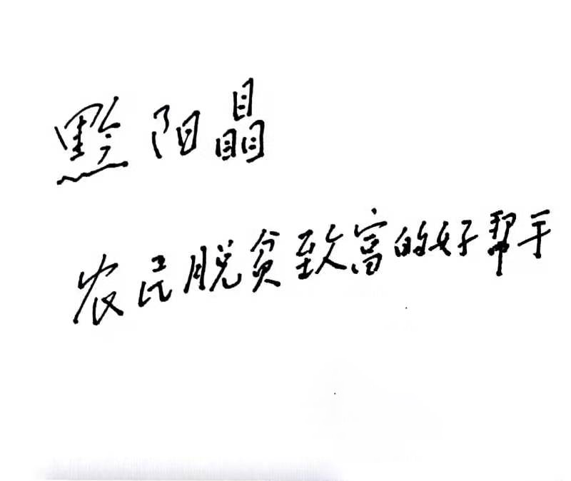 洪江市禹甜科技有限公司,黔陽瞐農(nóng)產(chǎn)品的批發(fā)零售 洪江市禹甜科技有限公司,黔陽瞐農(nóng)產(chǎn)品的批發(fā)零售